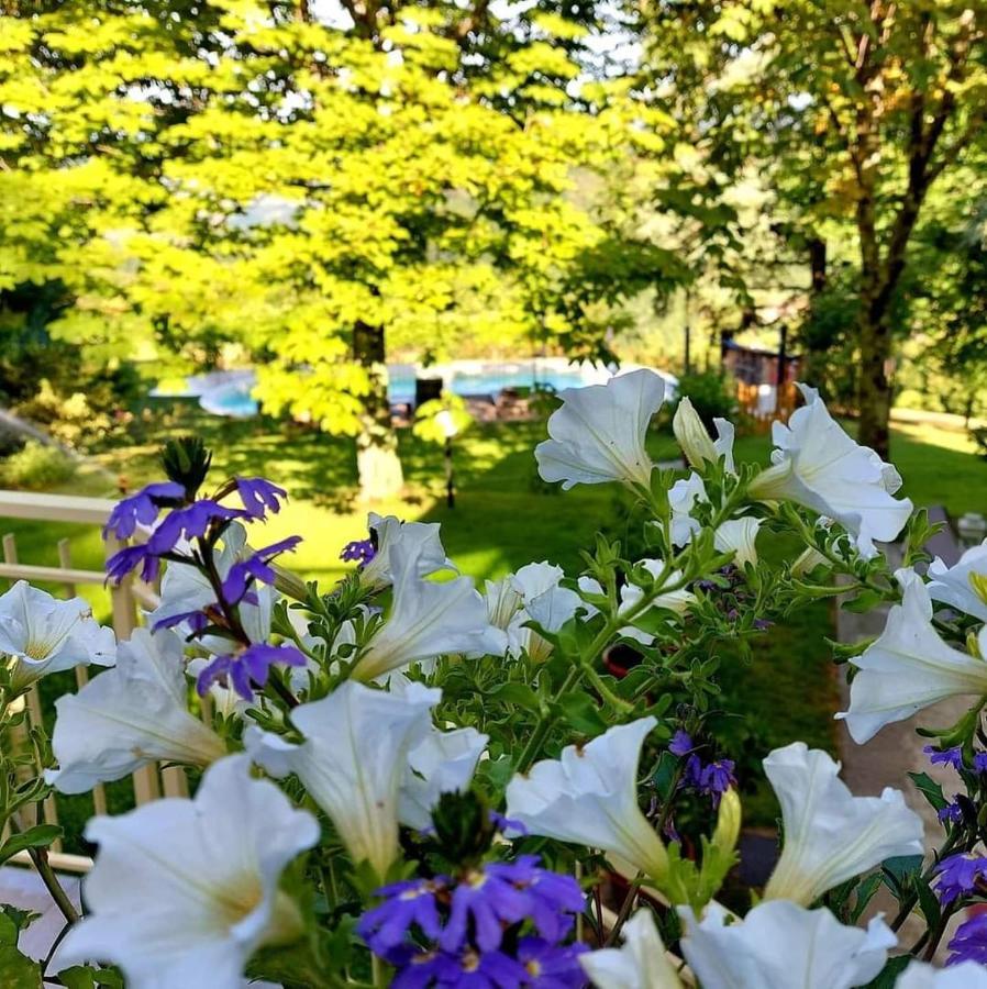 Villa Giuliana B&B Скарперия Екстериор снимка